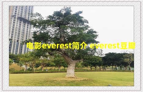 电影everest简介 everest豆瓣